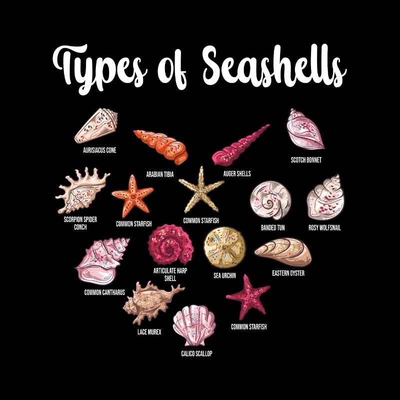 Espèces de moules