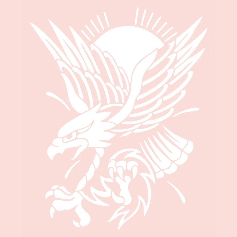 Eagle approaching