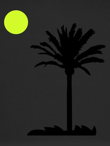palm tree