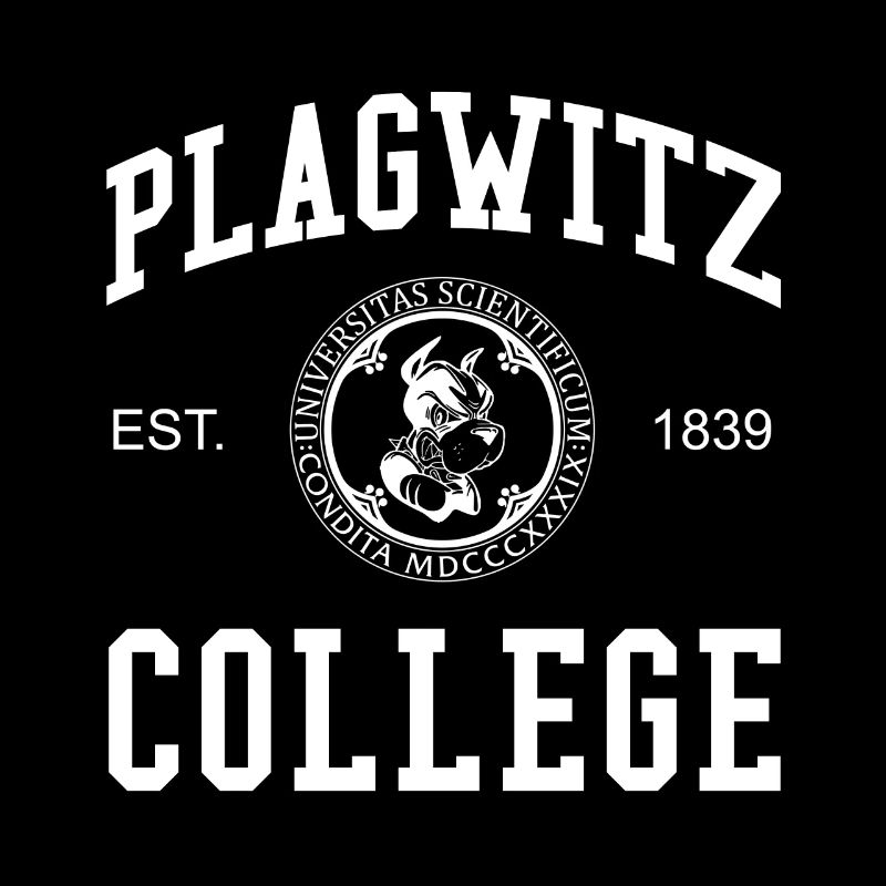 Leipzig Plagwitz Collège Universitaire École Universitaire