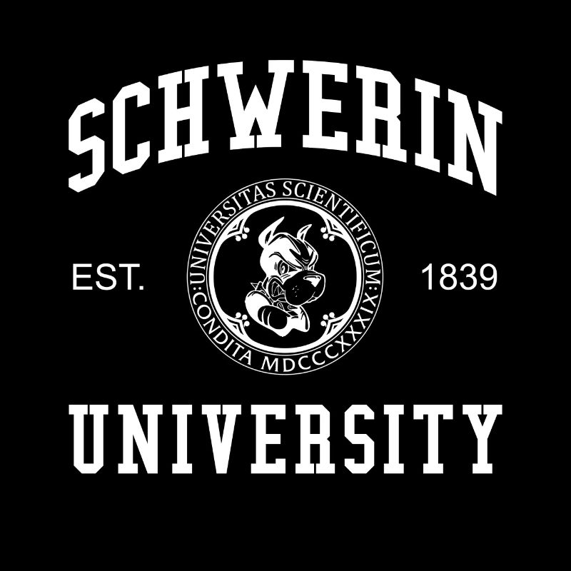 Schwerin University Universität Hochschule Uni