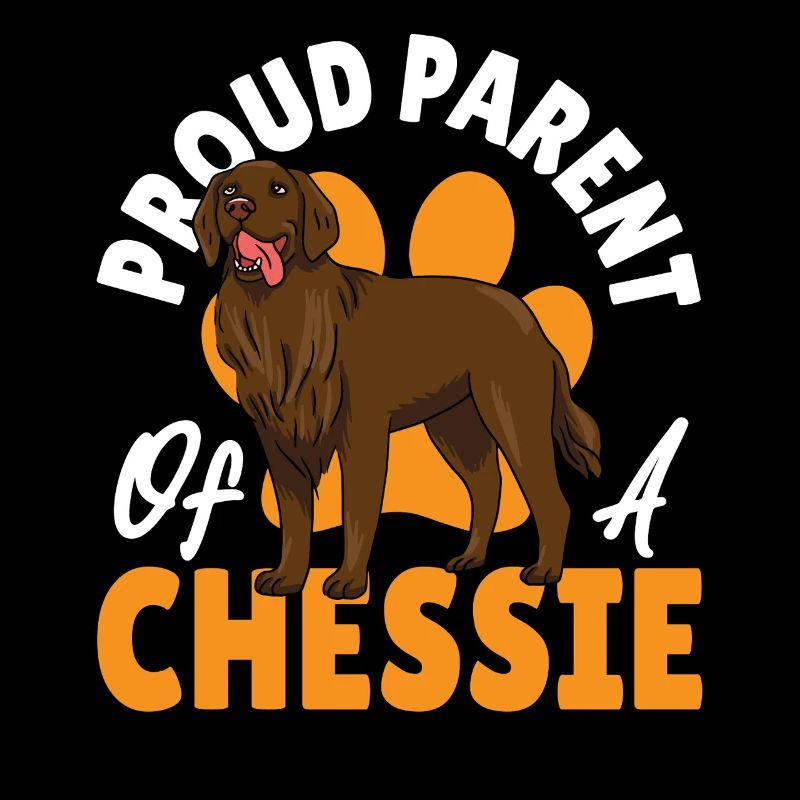 Chessie Jagdhund Chesapeake Bay Retriever