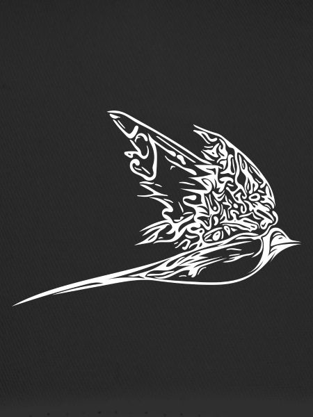Elegant swallow in flight