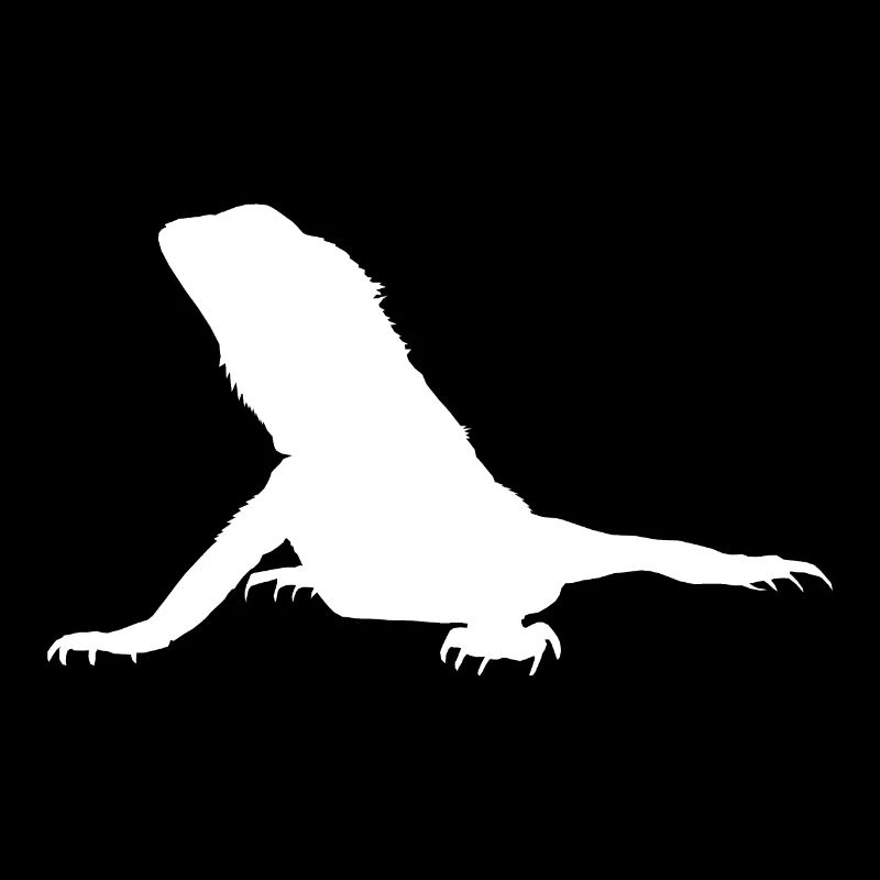 Idée de cadeau blanc Agame Dragon barbu
