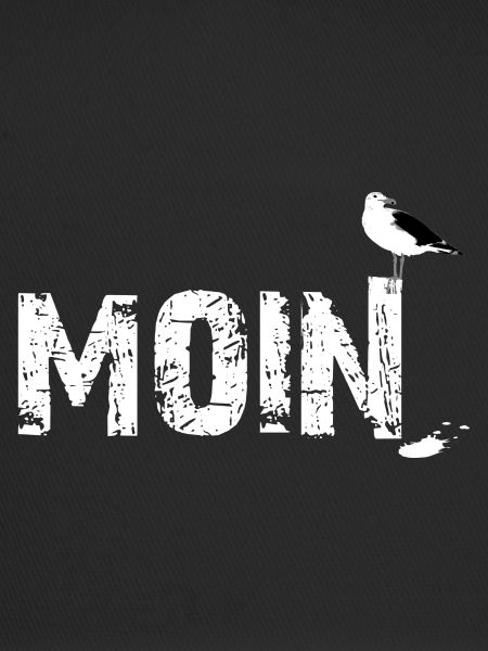 Möwe moin schiss