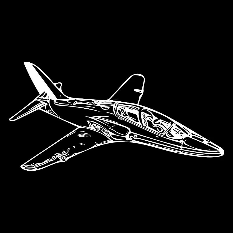 Schnittiger Jet Flieger Flugzeug