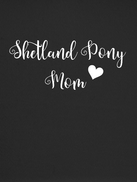 Shetland pony