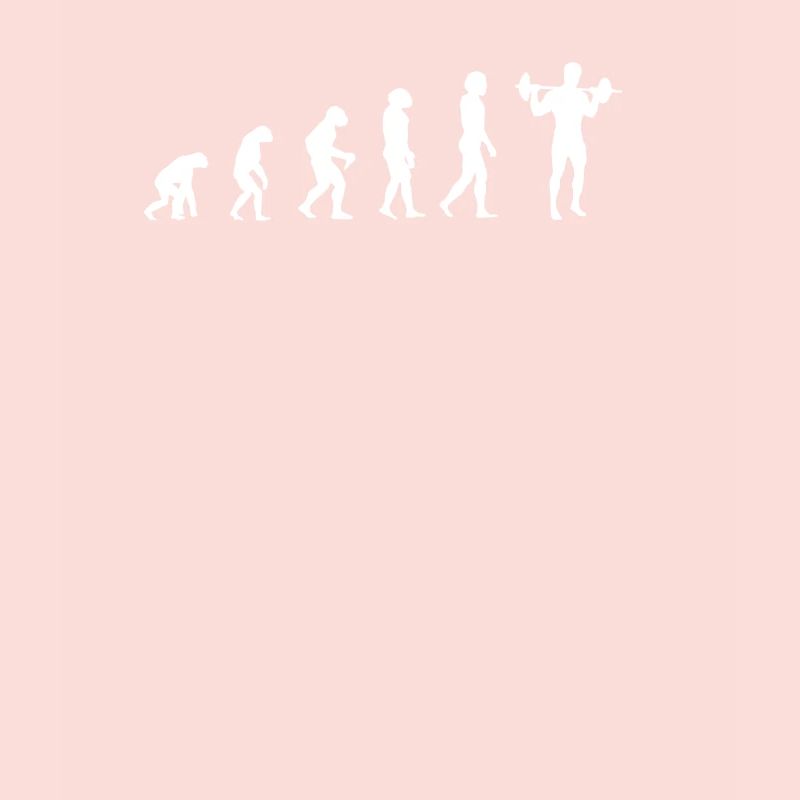 évolution de la formation