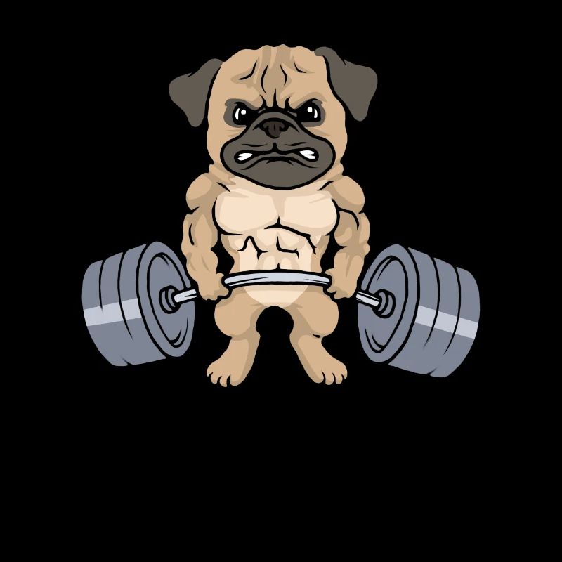 Pug training