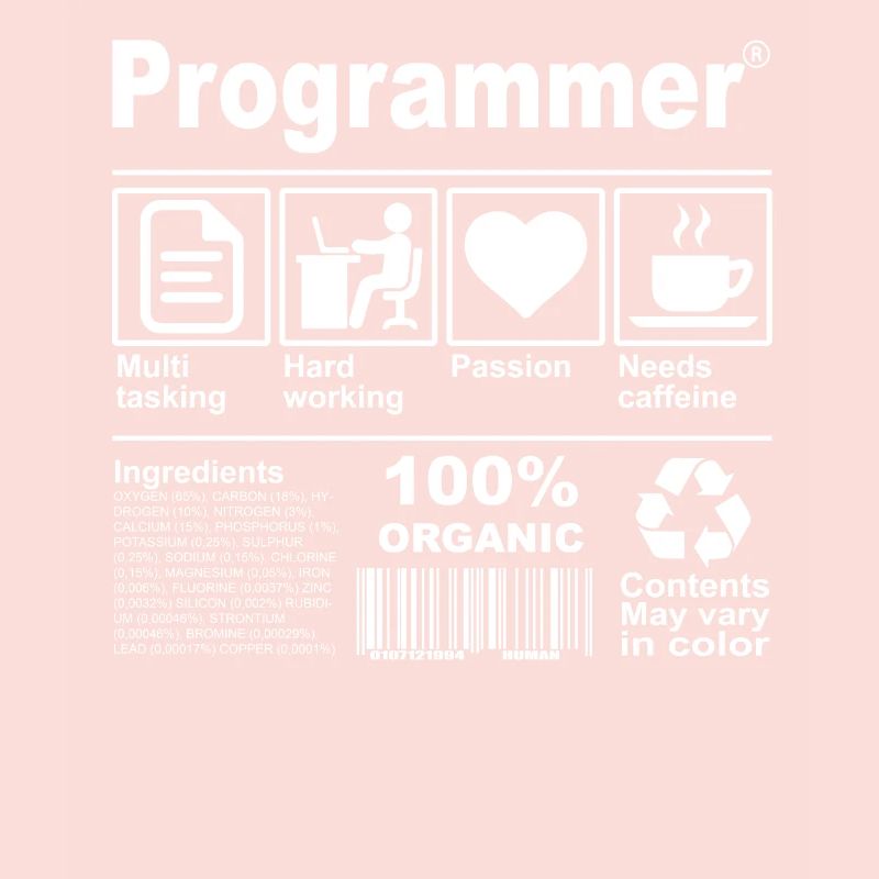 Programmer
