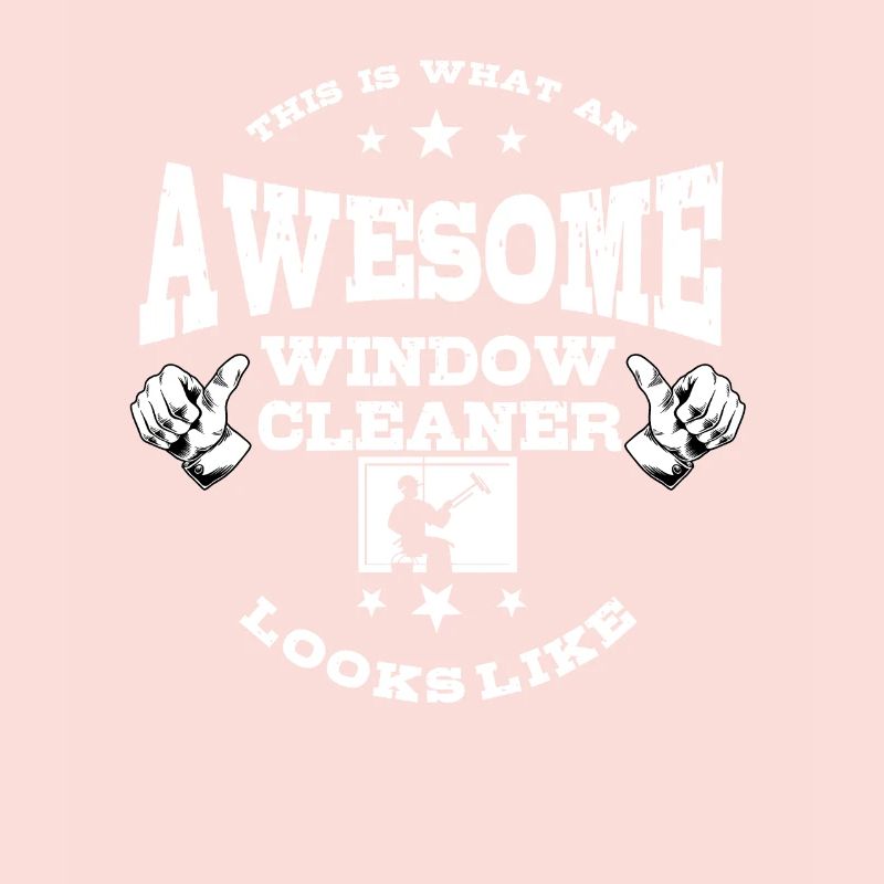 Ingenious window cleaner