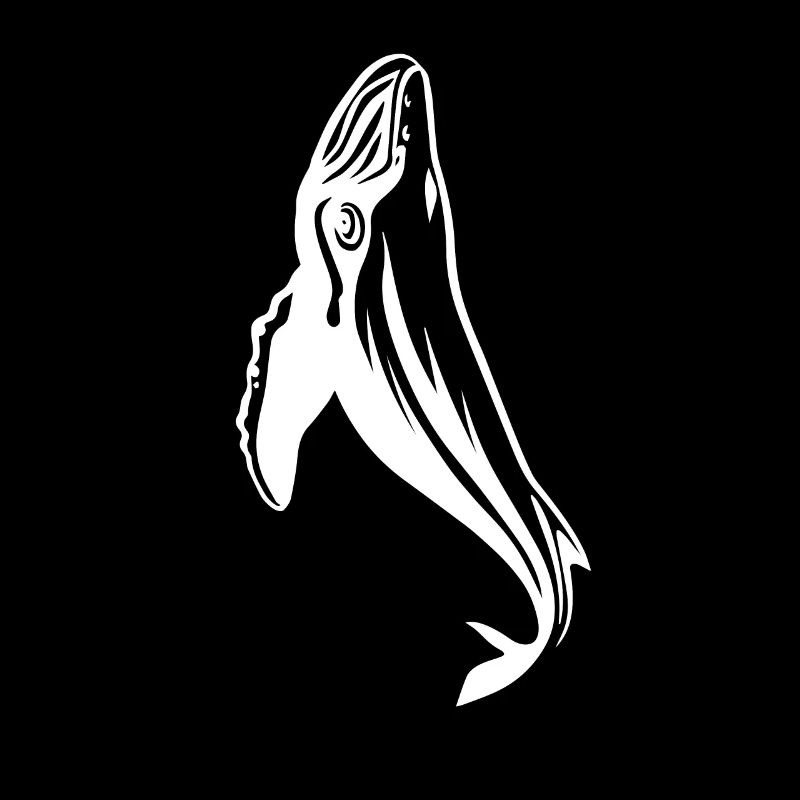 humpback whale
