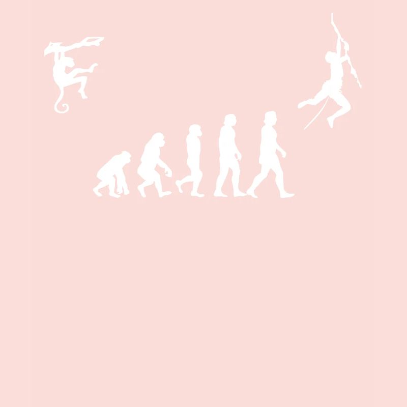 Evolution de l’escalade, Bouldern, Alpinisme
