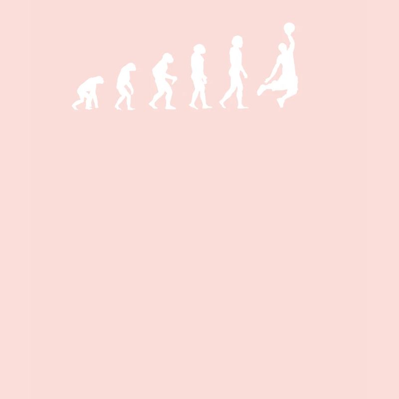 évolution du basket-ball