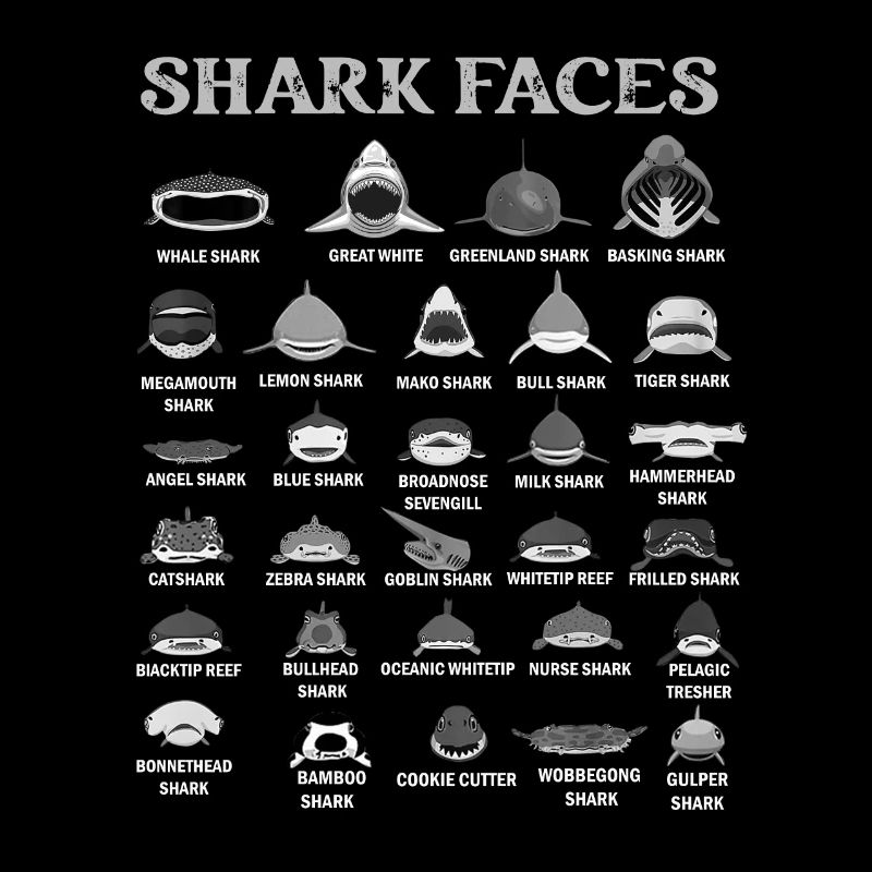 Types de visages de requin. Identification du visage du requin