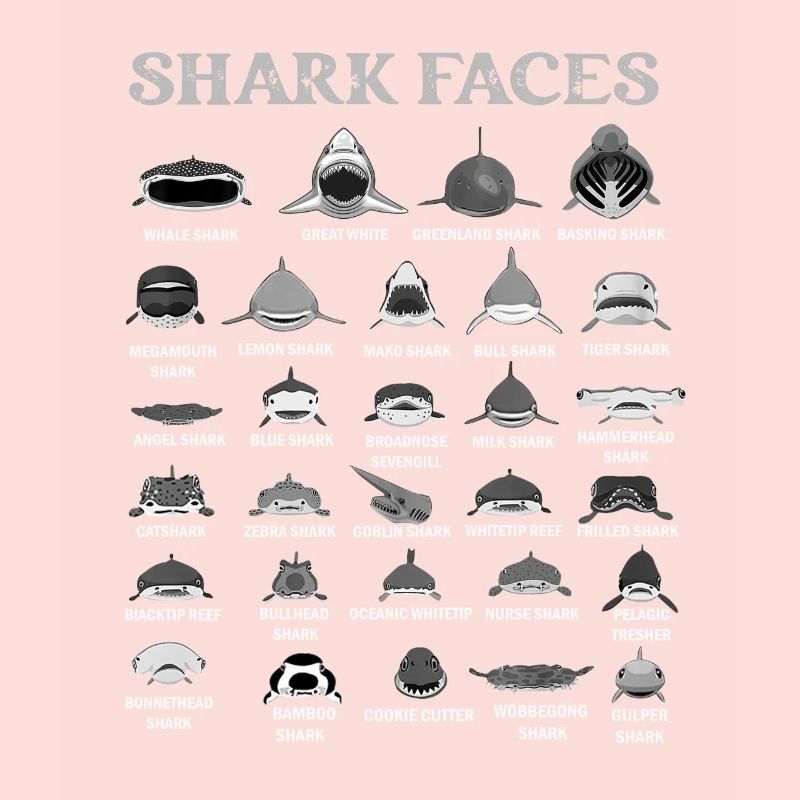 Types de visages de requin. Identification du visage du requin