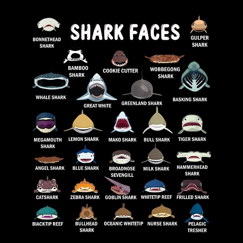 Types de visages de requin. Identification du visage du requin