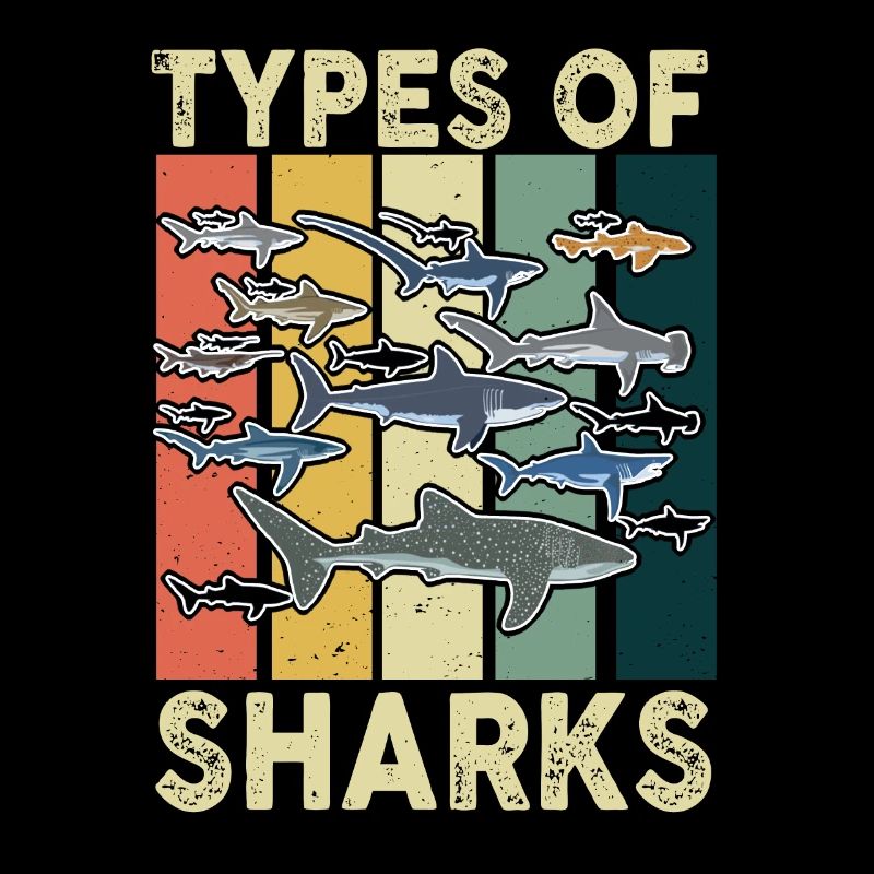 Types de requins