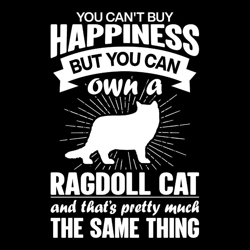 Kann Eine Ragdoll -Katze Kaufen