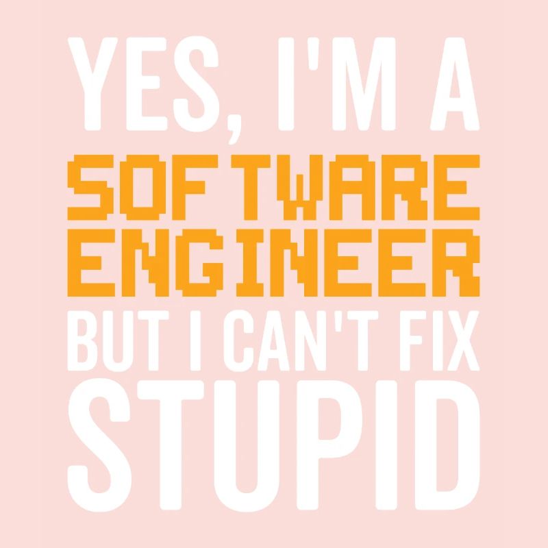 Stupid Software Engineer