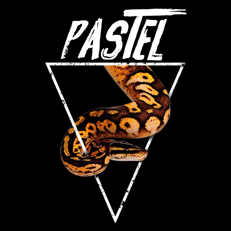 Pastel Ball Python Owner