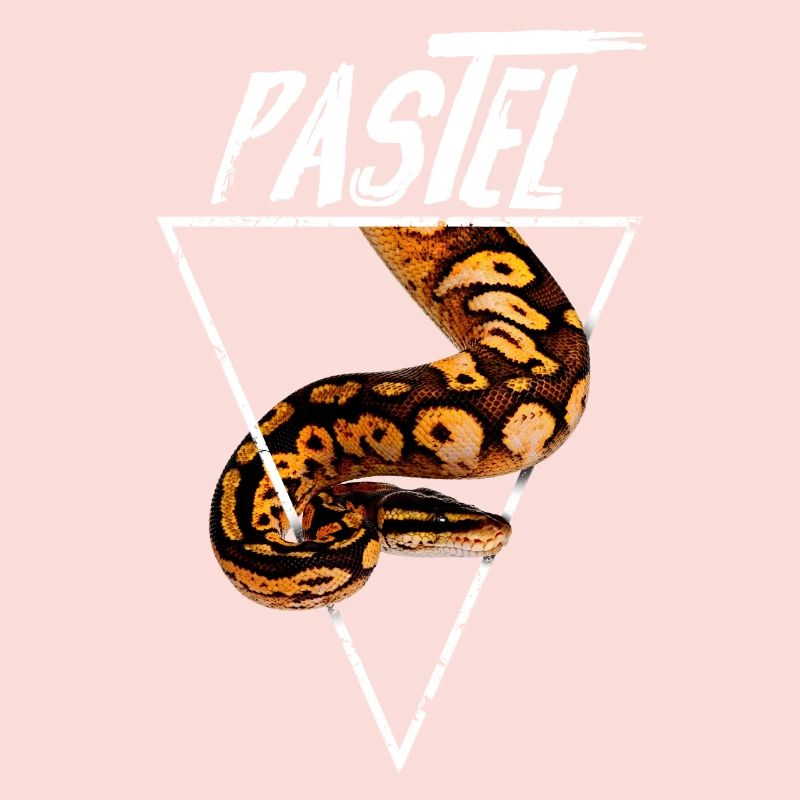 Pastel Ball Python Propriétaire