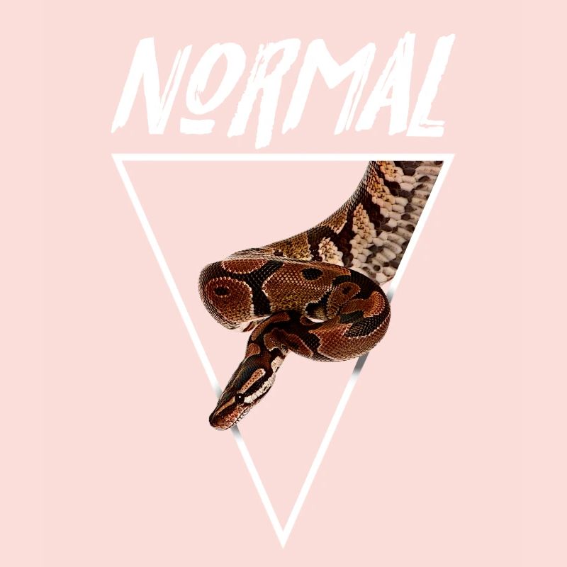 Normaler Ball Python Morph Schlange Besitzer