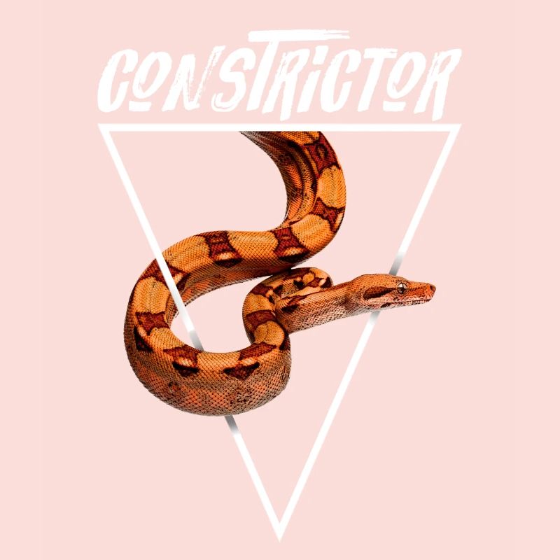 Boa Constrictor Geometrisch