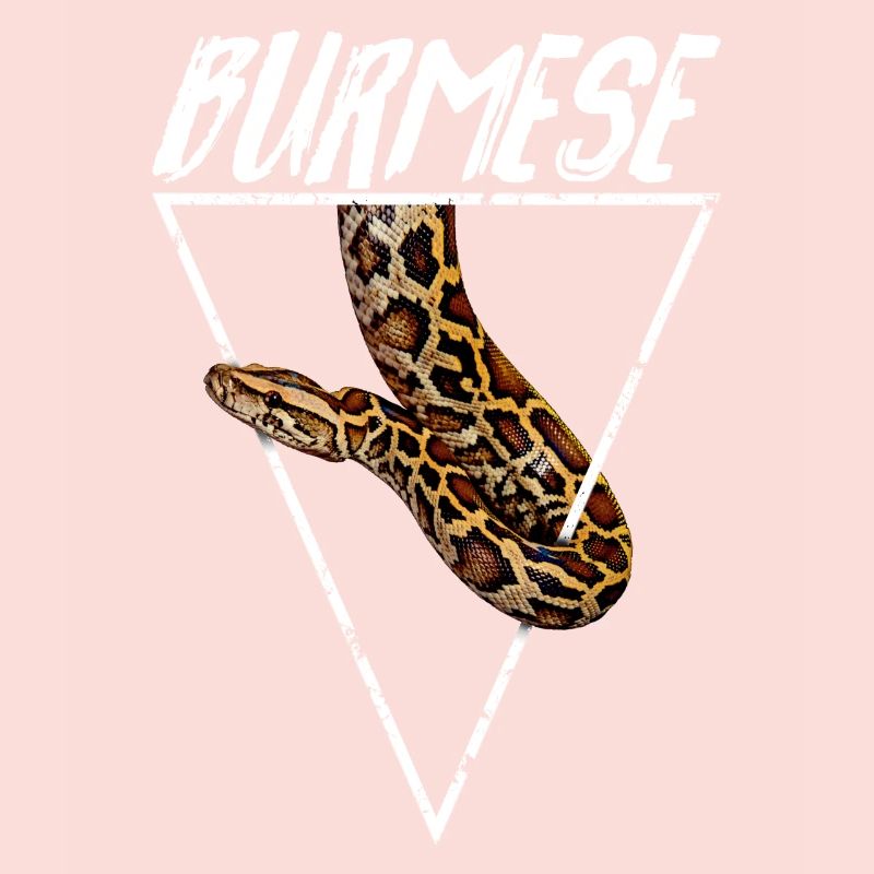 Propriétaire Python Birman Géométrique