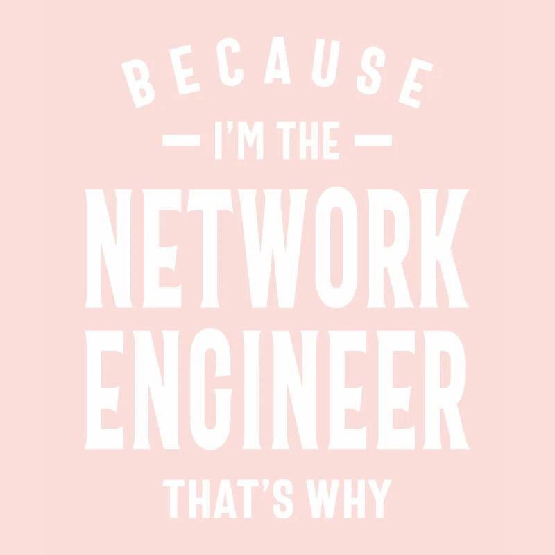 Network Engineer Job Title Profession