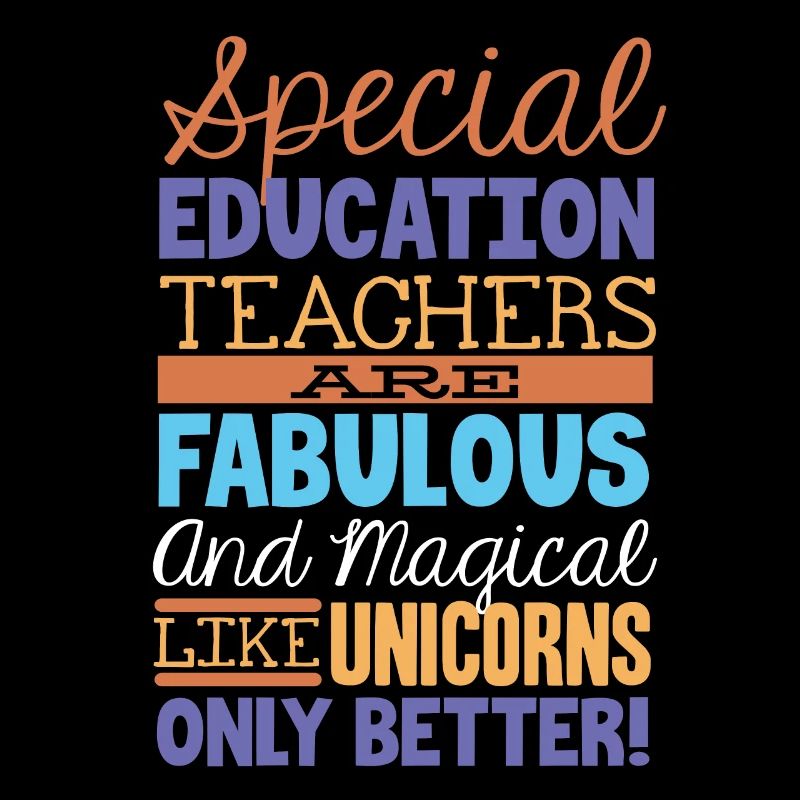 Special Needs Education, Special Education