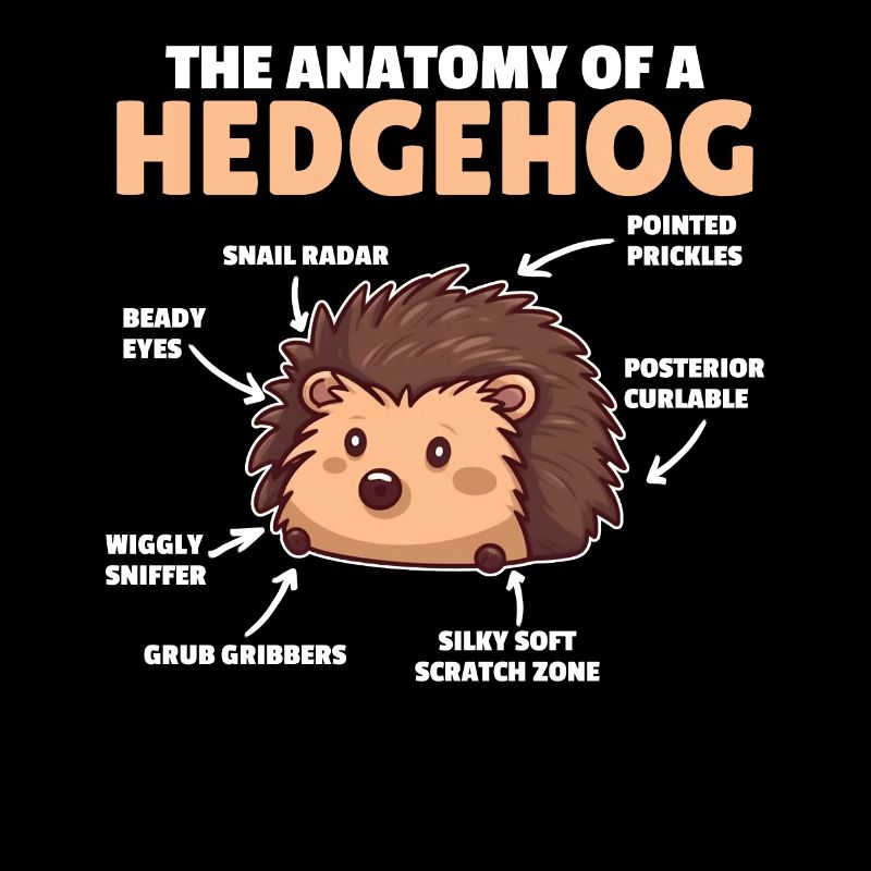 explication de hérisson mignon Anatomie d’un hérisson