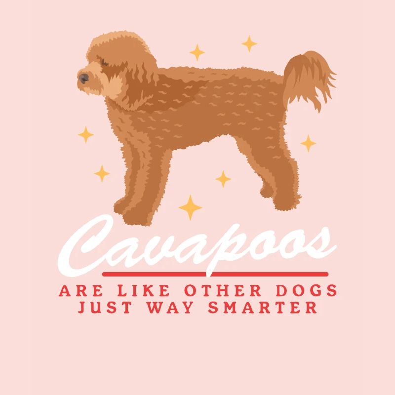 Chiens Cavapoo | Cadeau du propriétaire de chien Cavoodle
