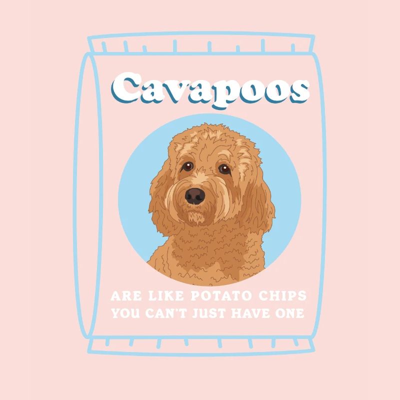 Chien Cavapoo | Cadeau du propriétaire de chien Cavoodle