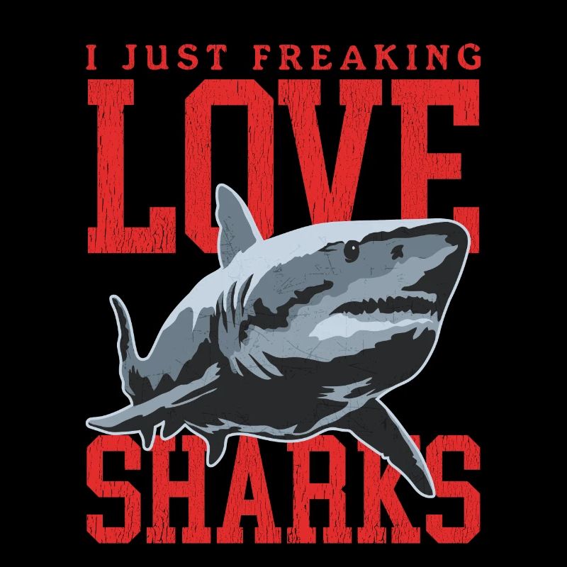 Requins Requins Grand Requin Blanc Cadeau de Requin