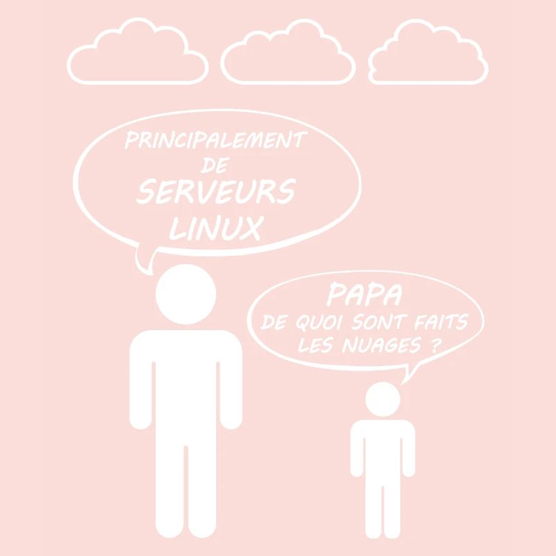 Humour Informatique Informaticien Cloud Computing