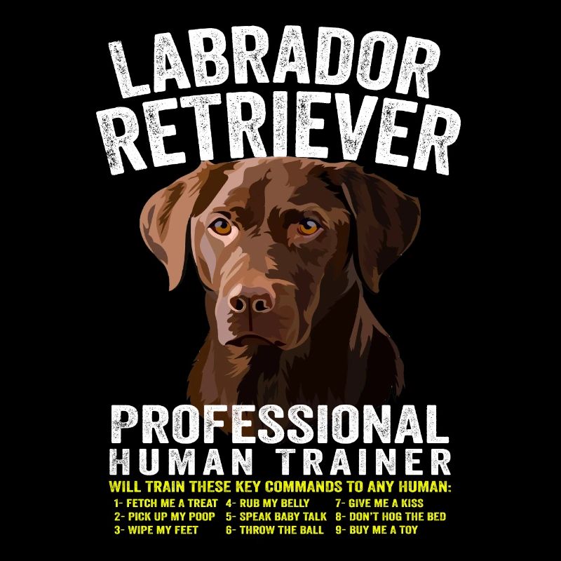 Labrador Retriever Professional Human Trainer