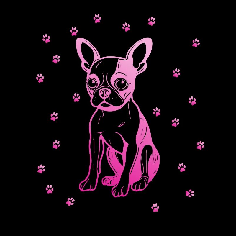 Boston Terrier with small paws