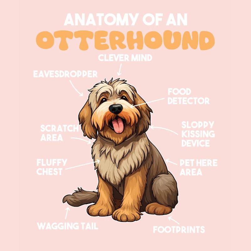 Explication du chien Anatomie d’un lévrier