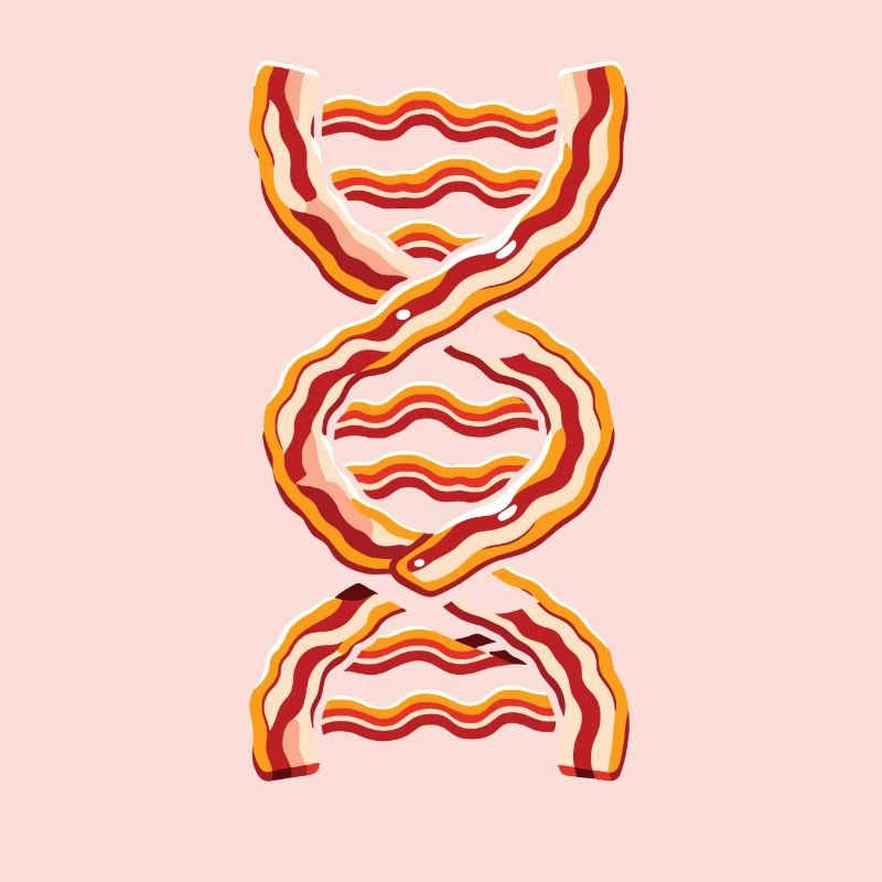 Bacon Speck c’est dans mon ADN
