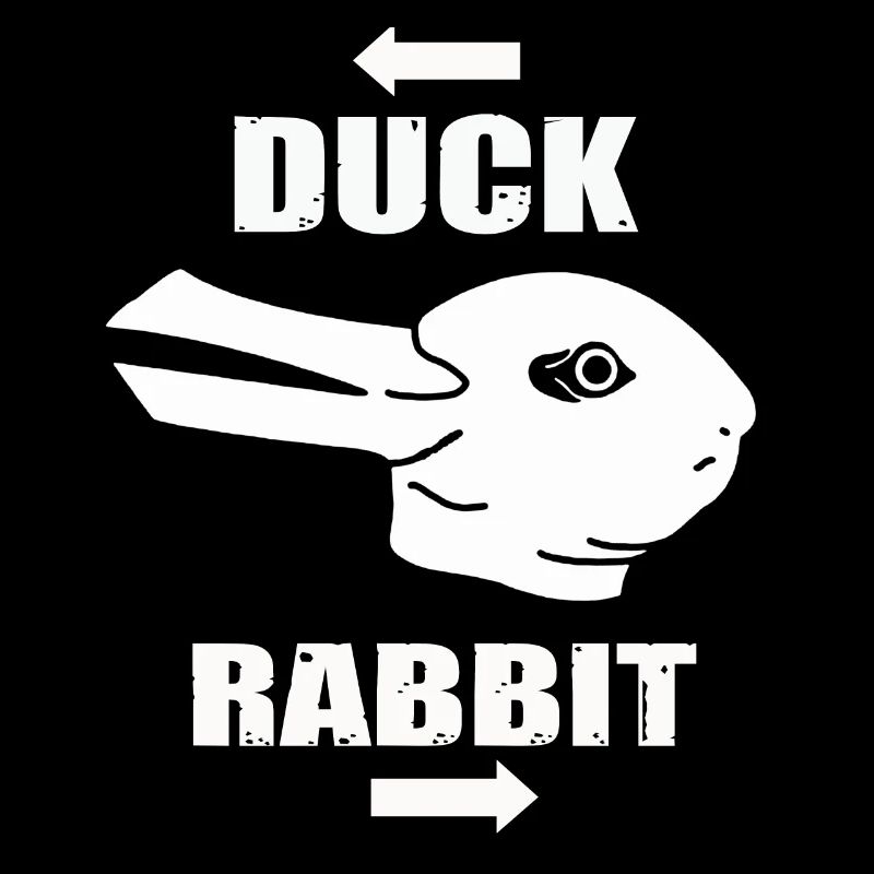 Wittgenstein lapin canard illusion