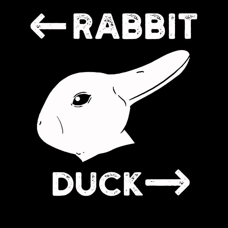 Wittgenstein lapin canard illusion