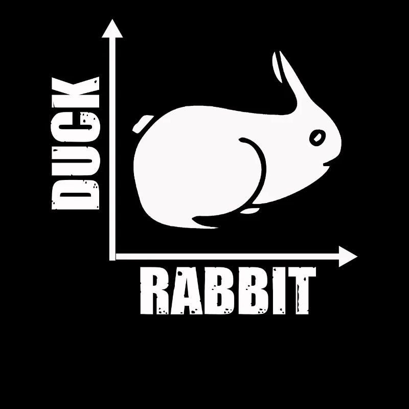 Wittgenstein lapin canard illusion