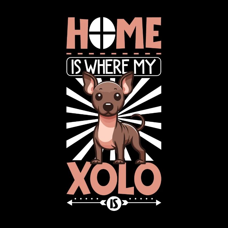 Home - Xoloitzcuintle