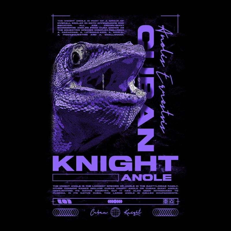 Cuban Knight Anole Reptile Keeper Lizard