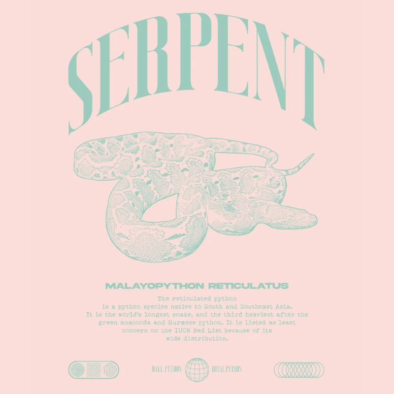 Gardien de reptiles python réticulé Streetwear