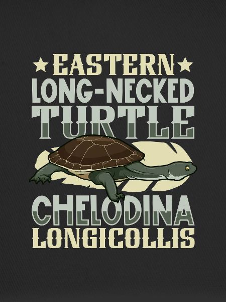 Flat-backed tortoise