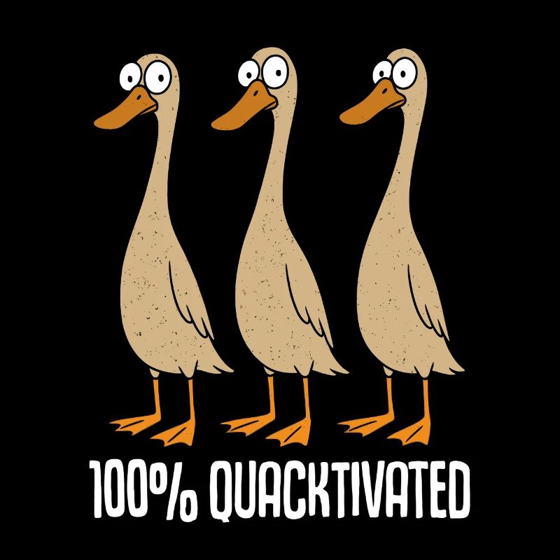 Les canards coureurs gardent les canards coureurs Élevage des canards coureurs