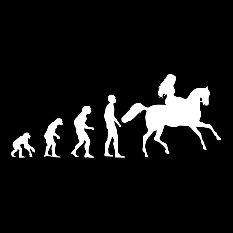 Evolution - Cavalier - Equitation - Cheval - Idée cadeau
