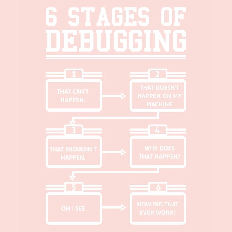 6 Stages of Debugging Software Programmeur